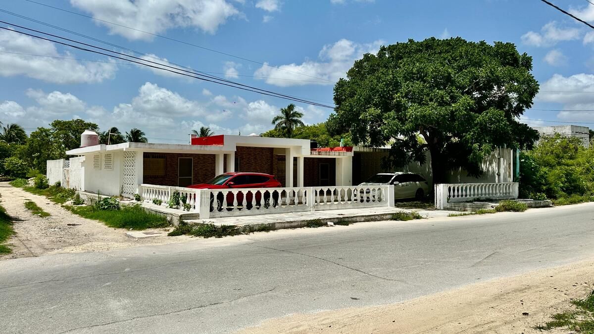 1 de 12