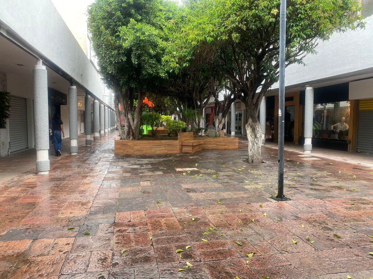 3 de 23
