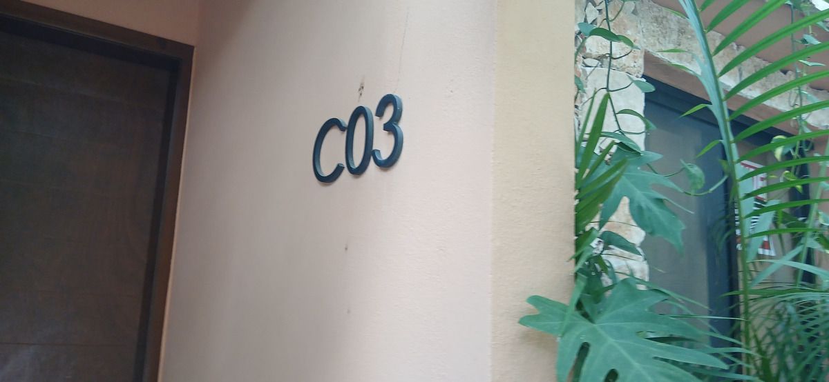 1 de 50: Unit C03 entrance amidst tropical foliage in Tulum.