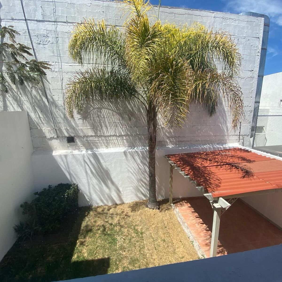 3 de 19