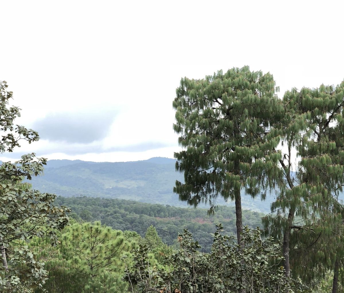 1 de 15