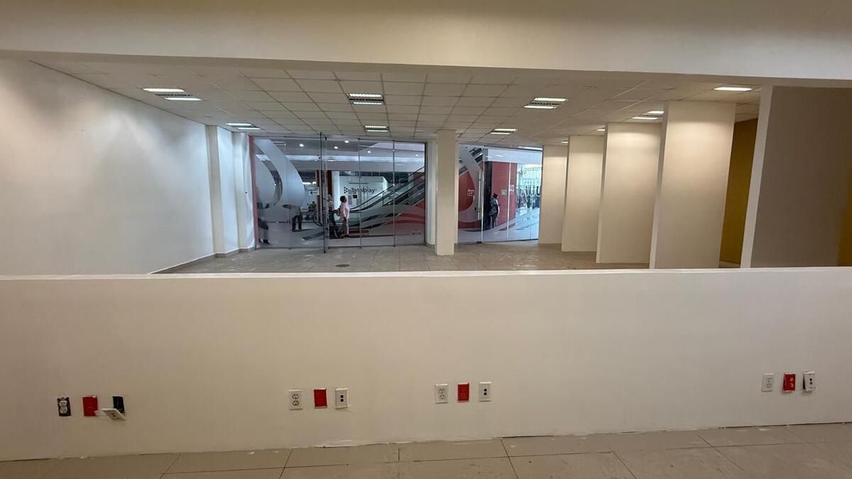 6 de 29