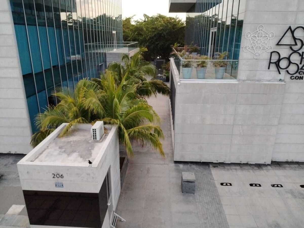 2 de 17