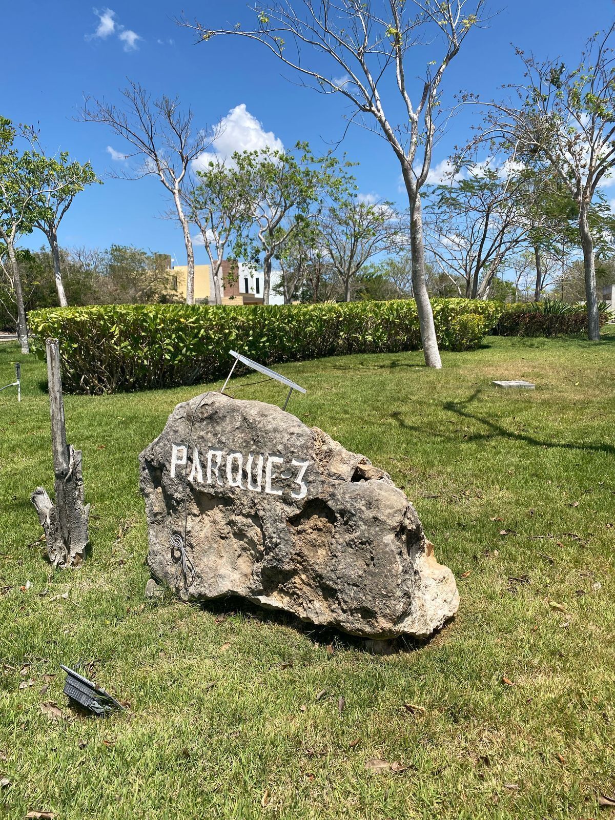 3 de 12