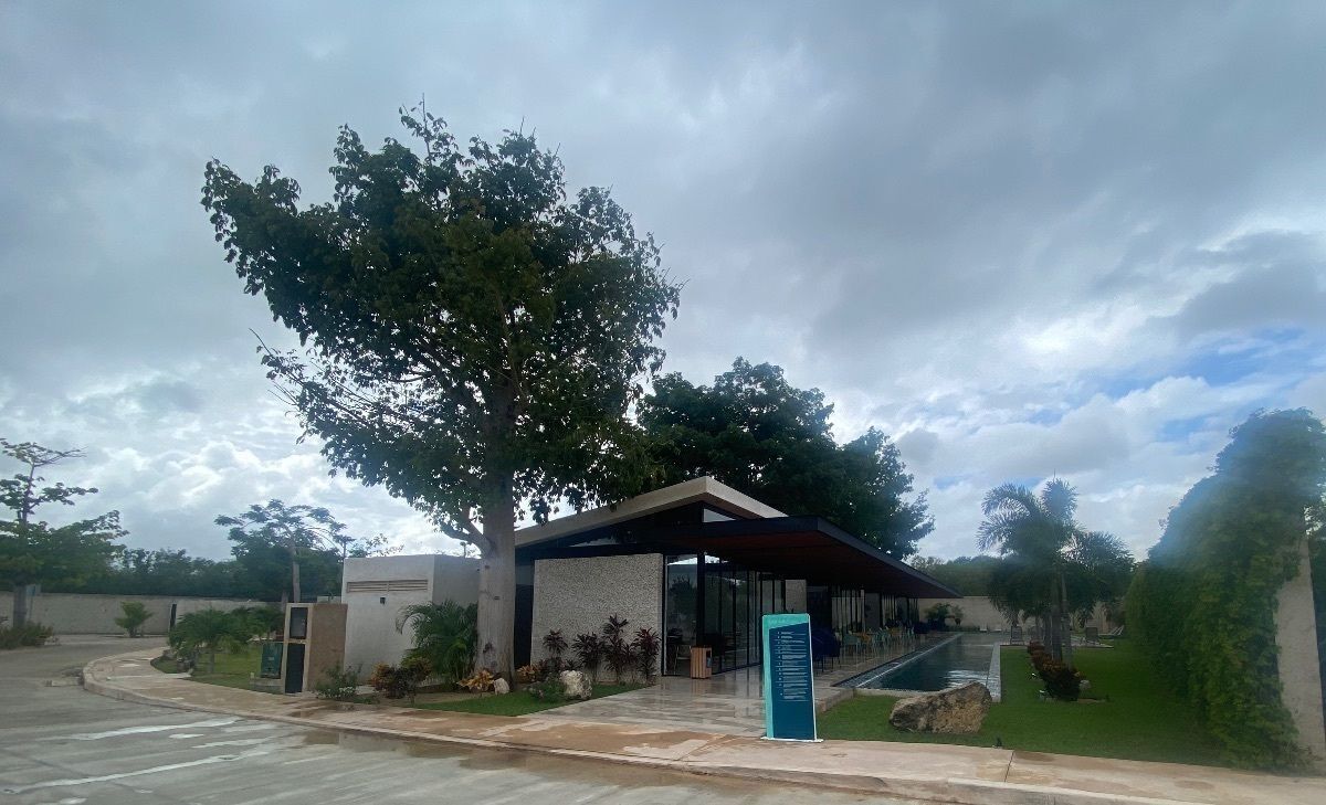 3 de 16