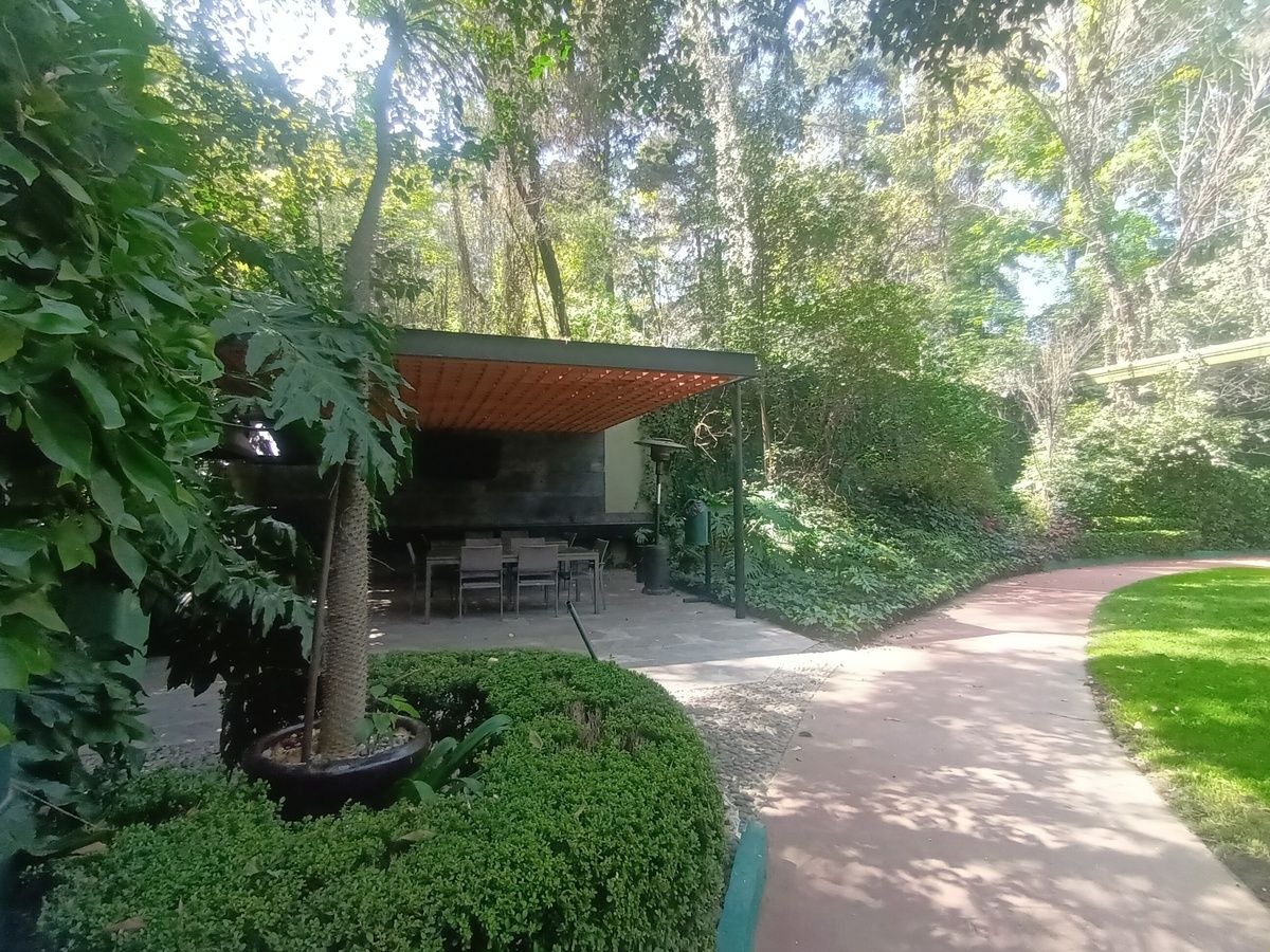 45 of 50: Area Asadores