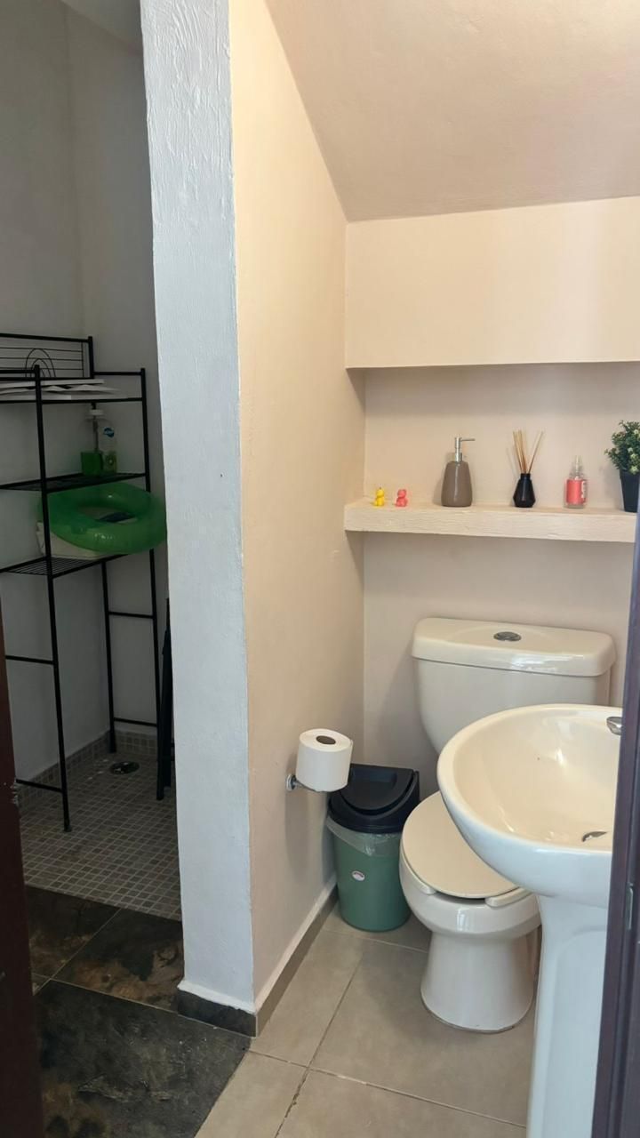 6 de 19