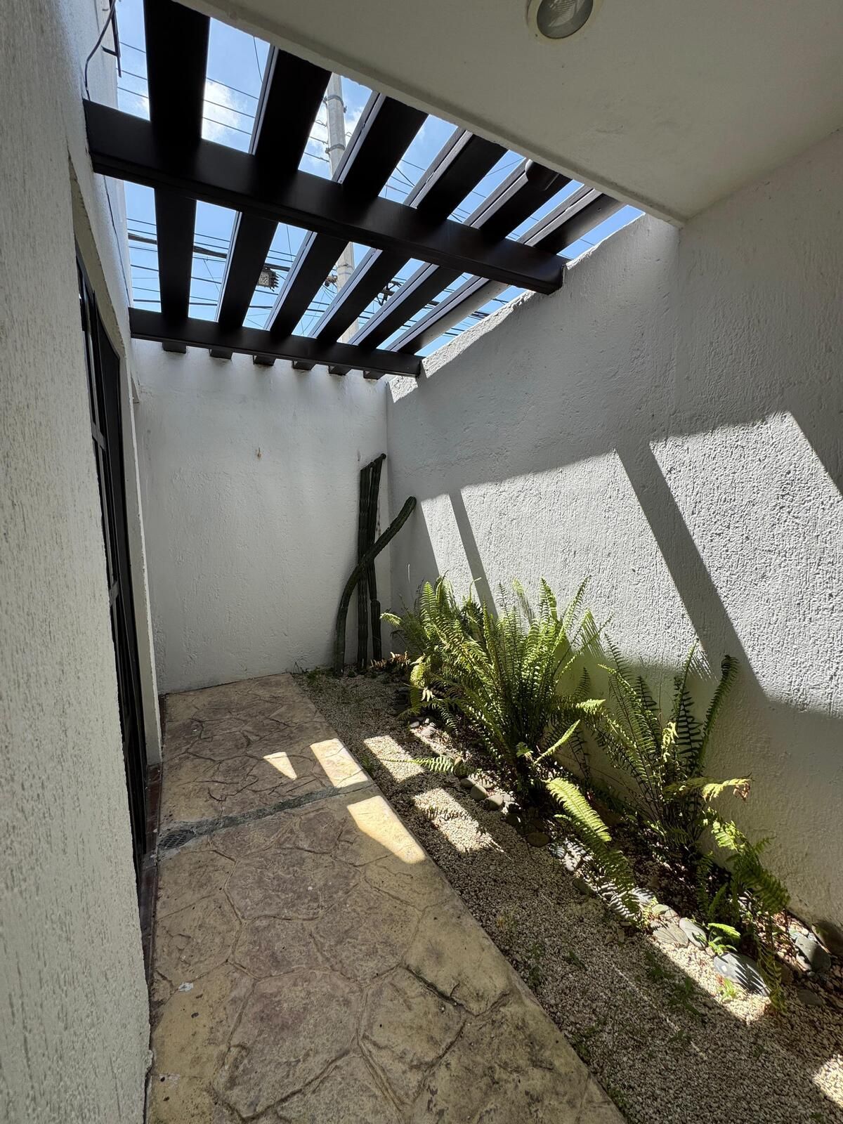 19 de 22: jardin interior y cubo de luz