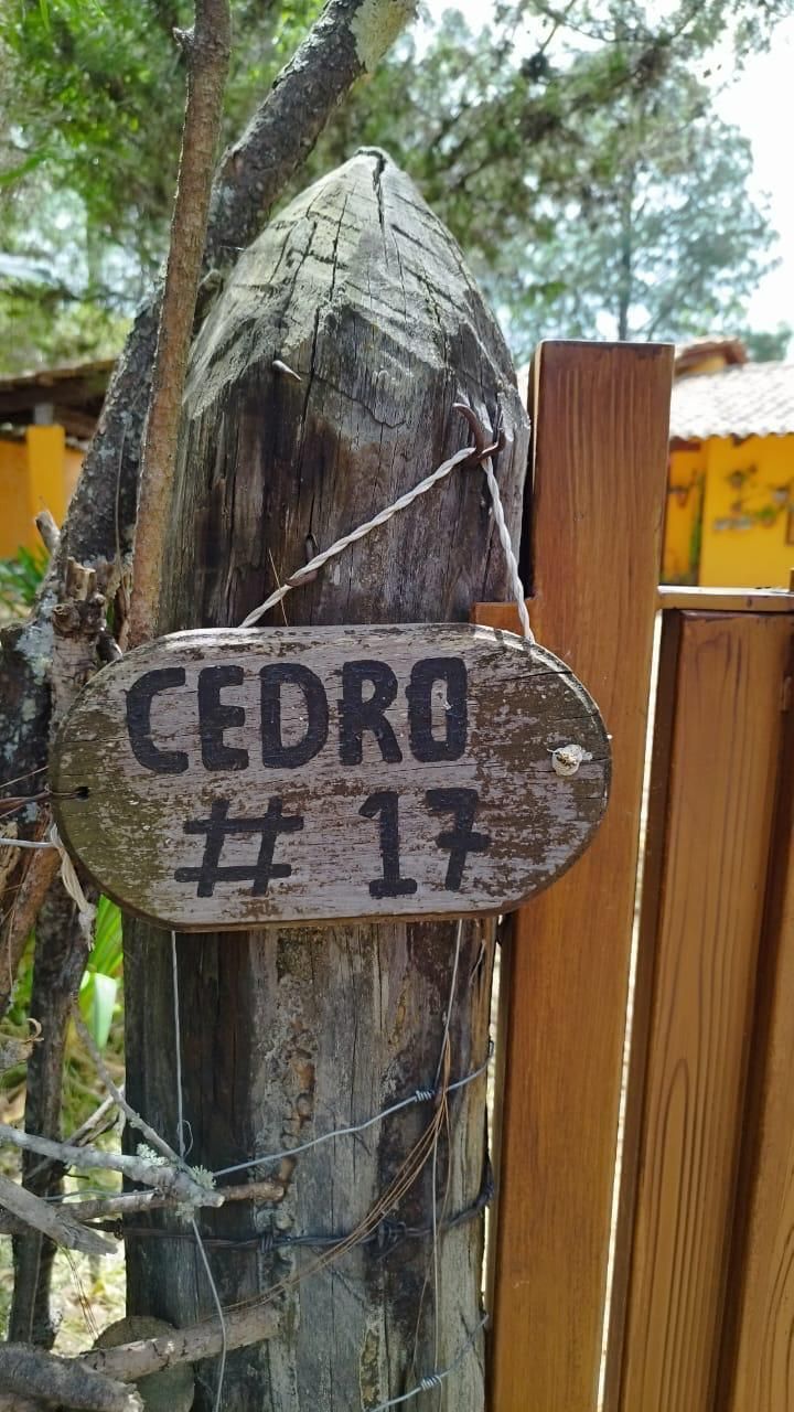 4 de 4