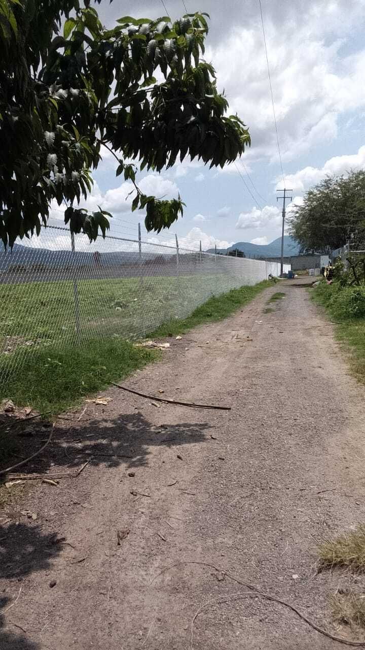 3 de 12