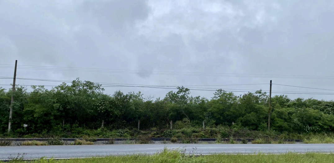 1 de 5