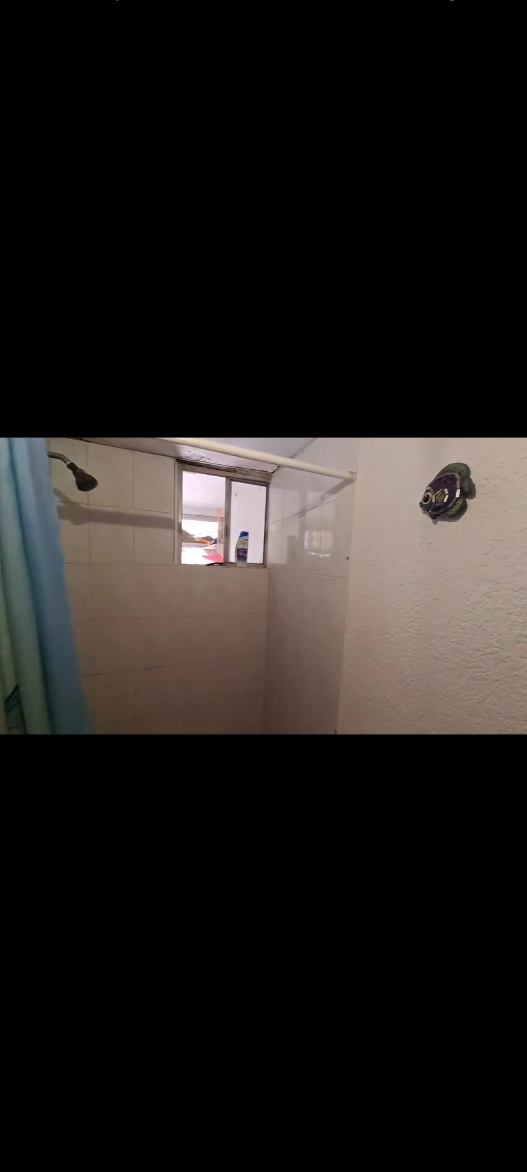 13 de 16