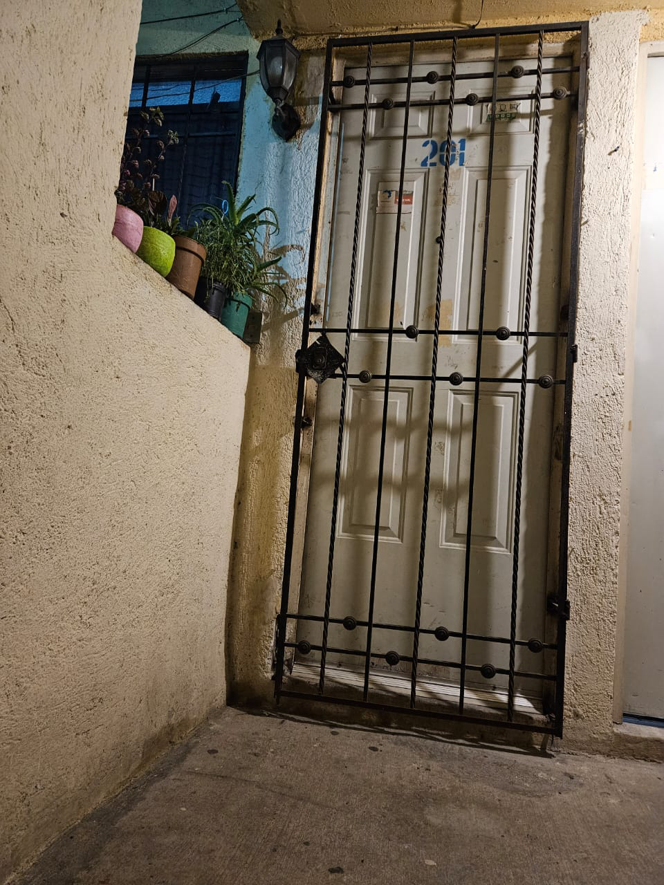 5 de 20