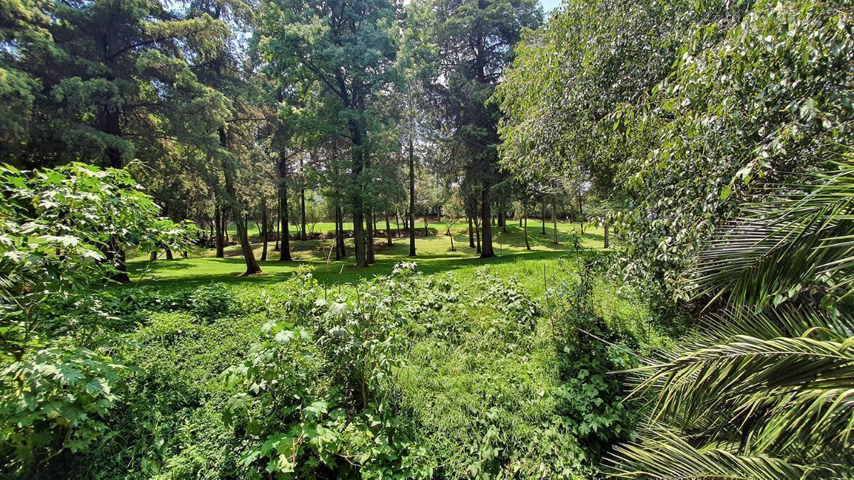 3 de 22: Vista del campo