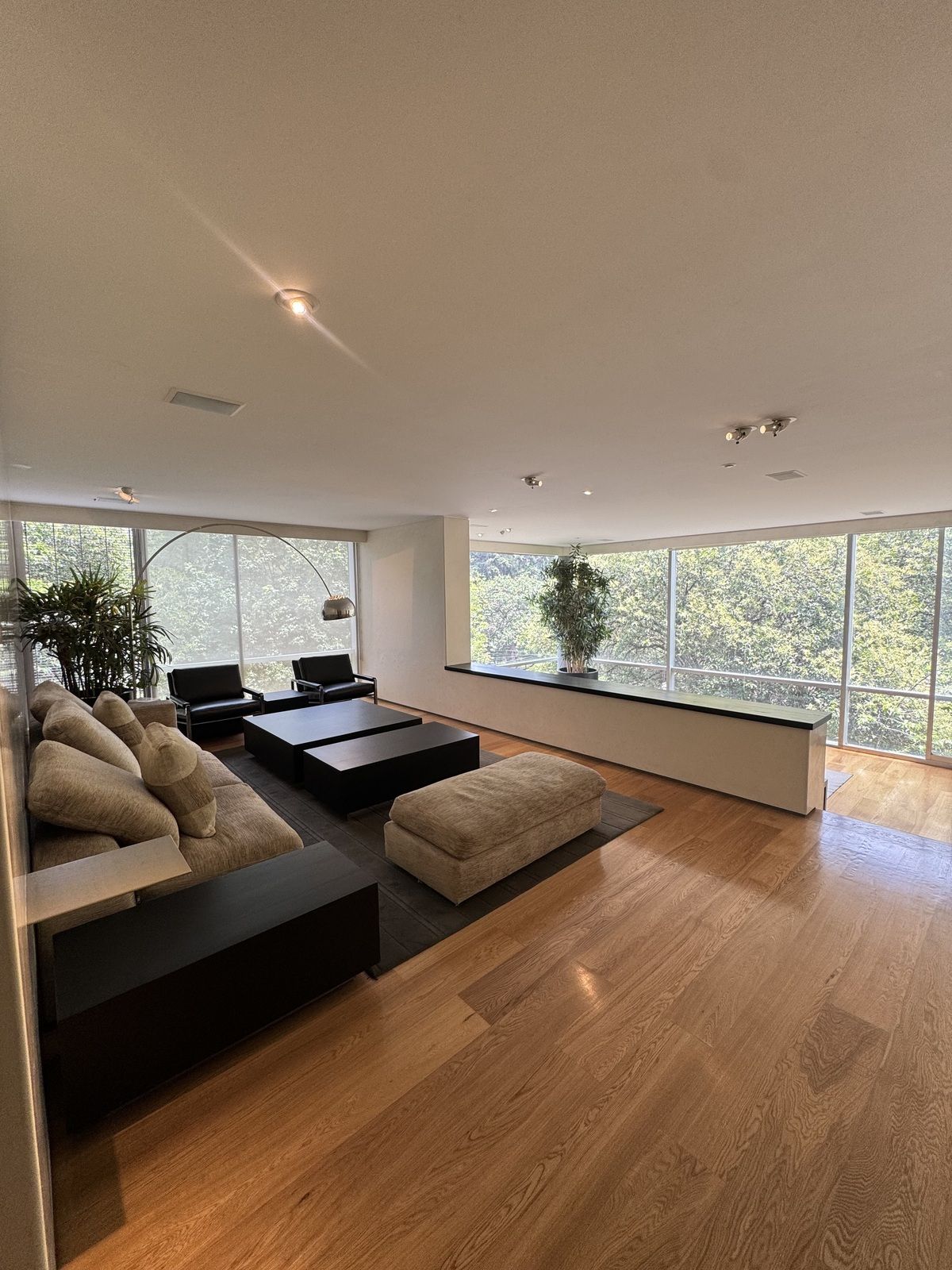 APARTMENT FOR SALE POLANCO - foto 1