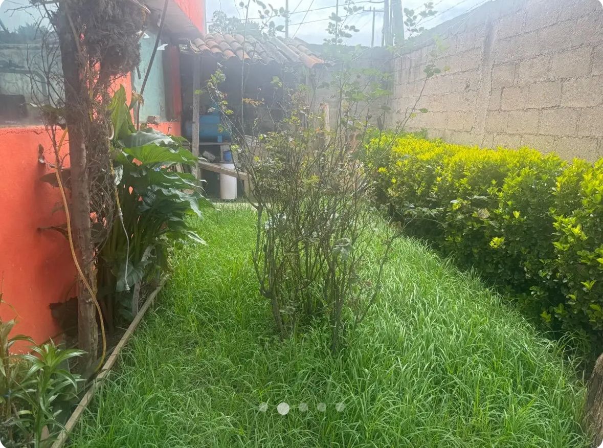 Imagen 7 de 7