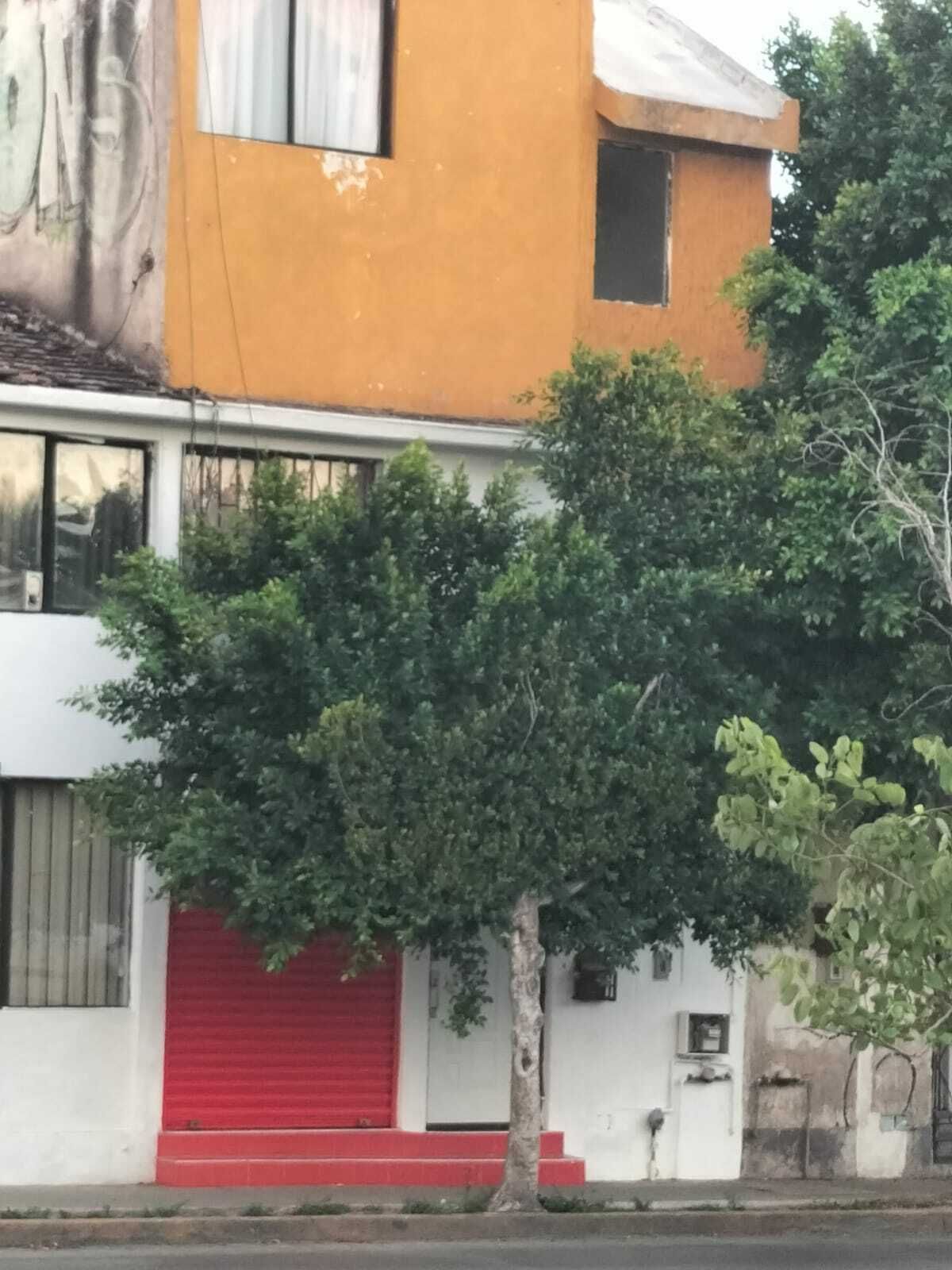 26 de 26