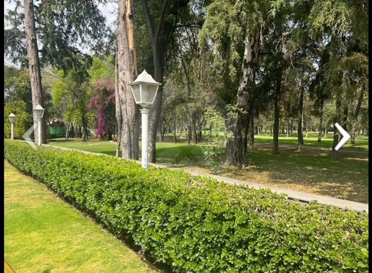 16 de 31