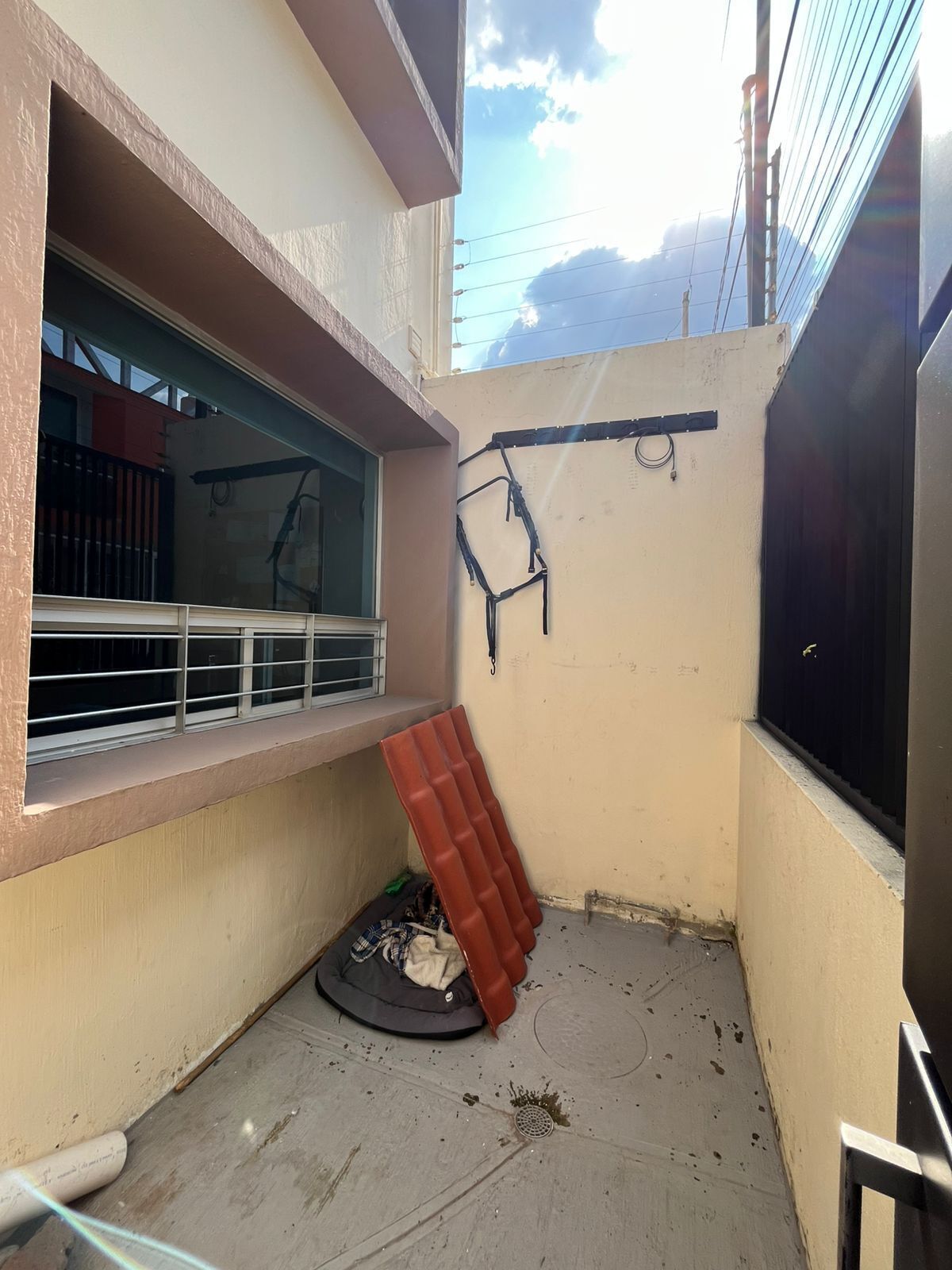 5 de 27
