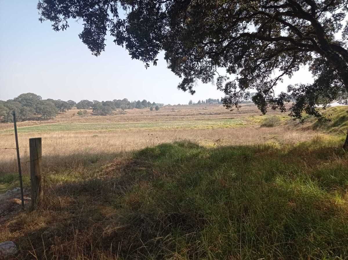 3 de 13