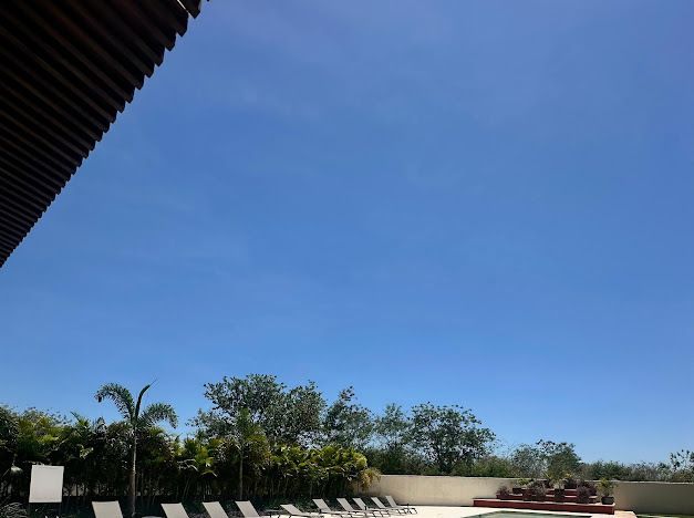 5 de 19