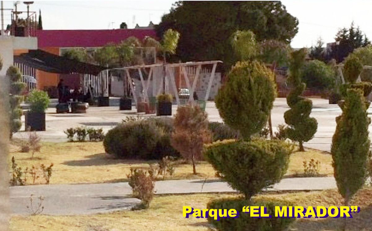 3 de 8