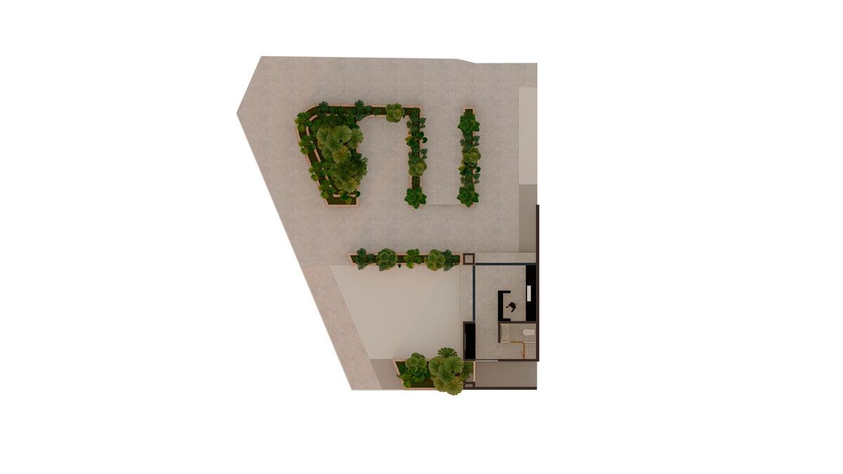 13 de 16