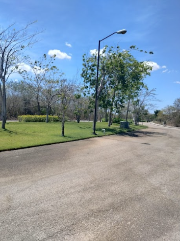 17 de 18