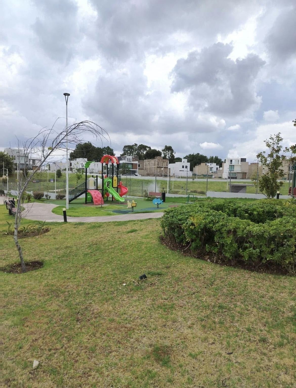 5 de 8