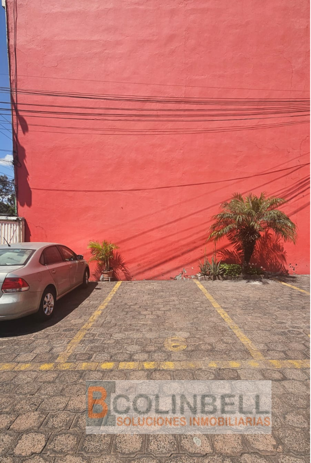 Imagen 7 de 8