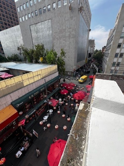 7 de 13