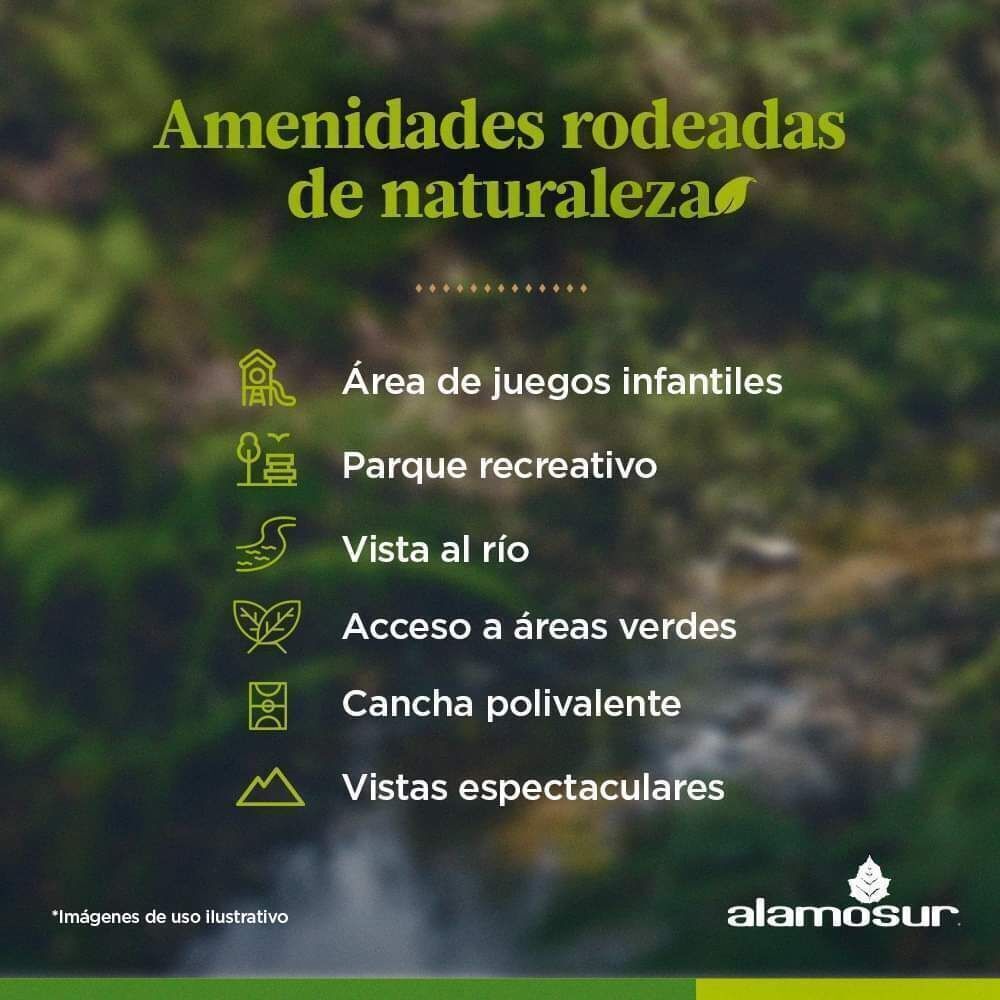 4 de 10