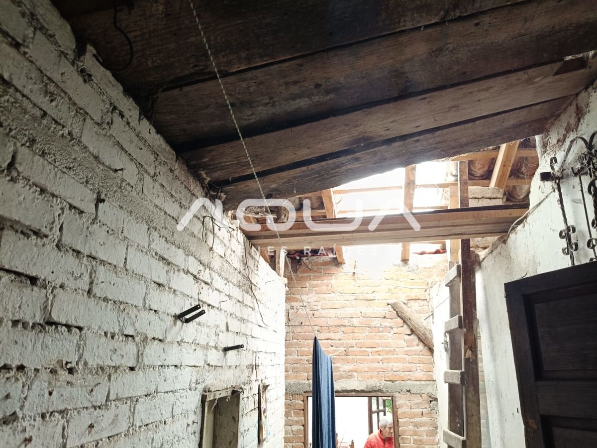 Imagen 5 de 7