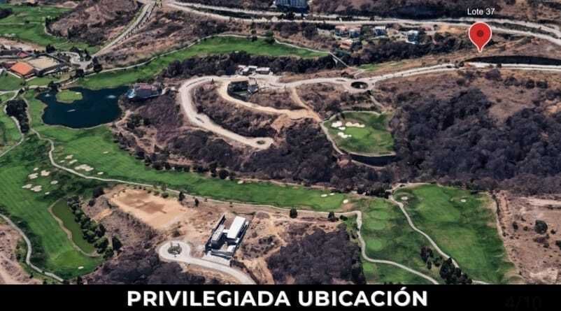 12 de 13