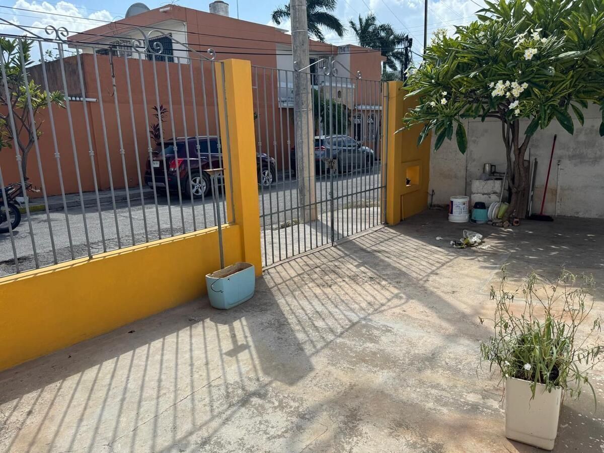 3 de 19