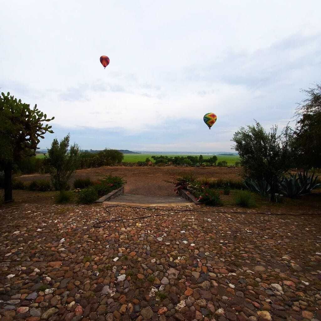 1 de 8