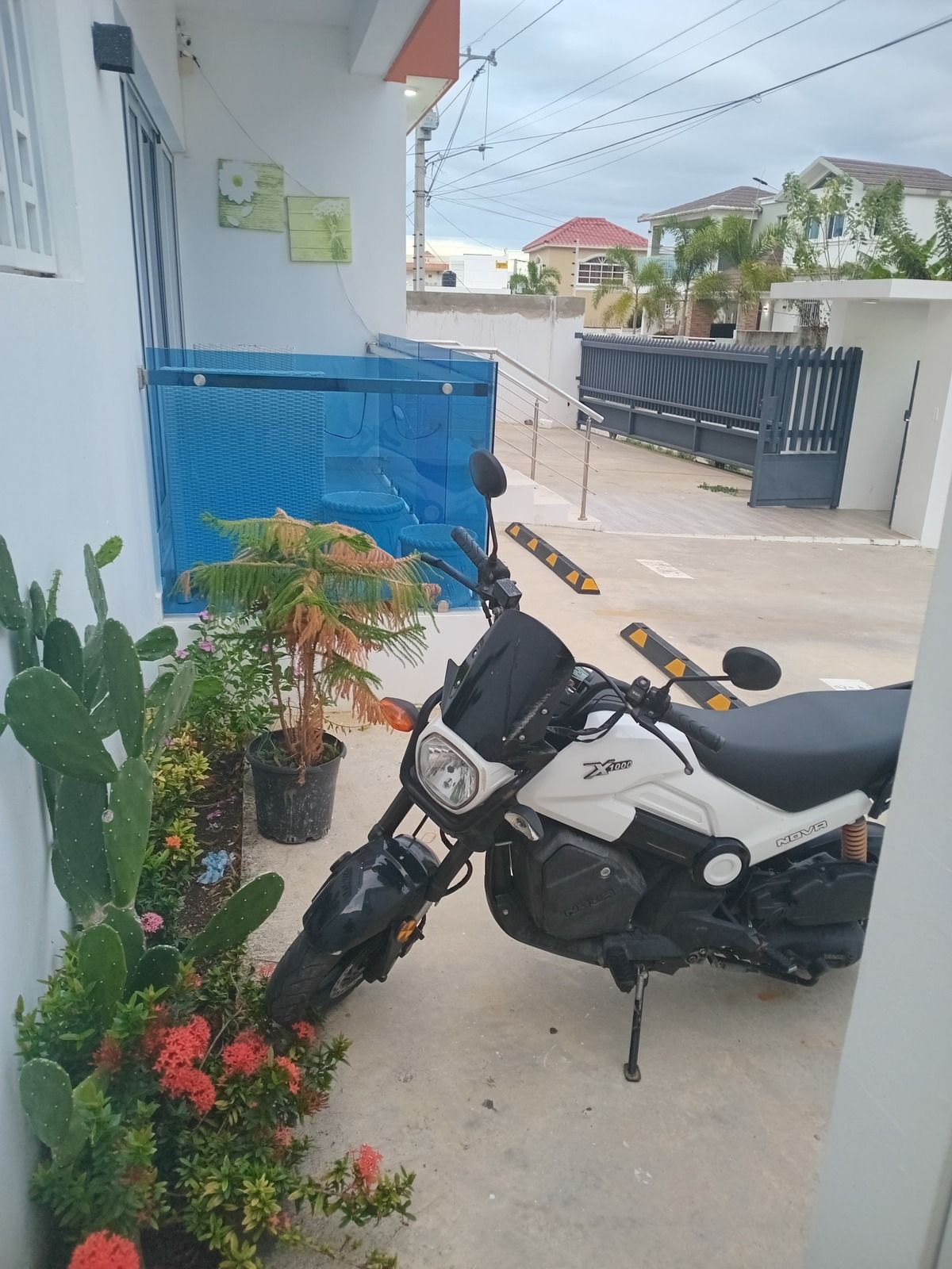 4 de 19