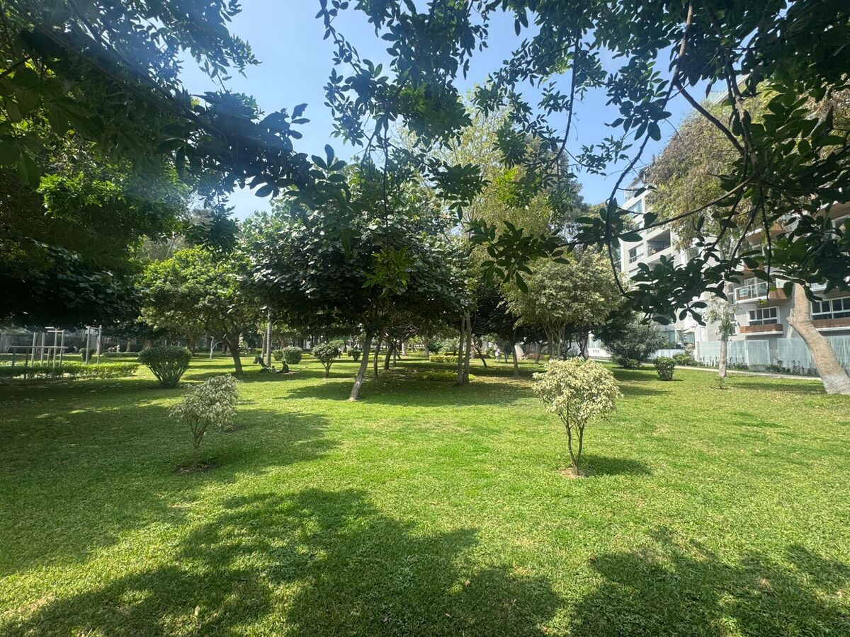 4 de 10: Vista a parque.