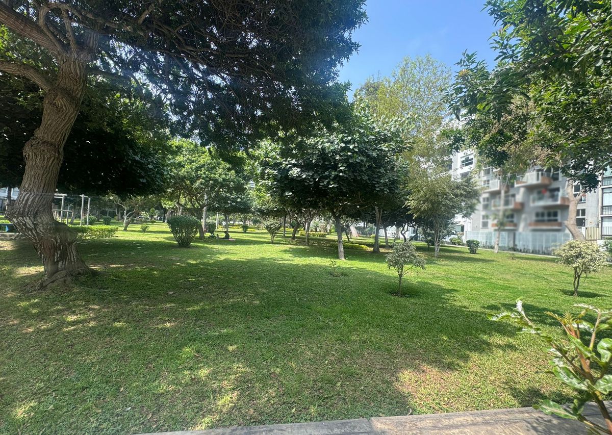 1 de 10: Parque Privado en Miraflores