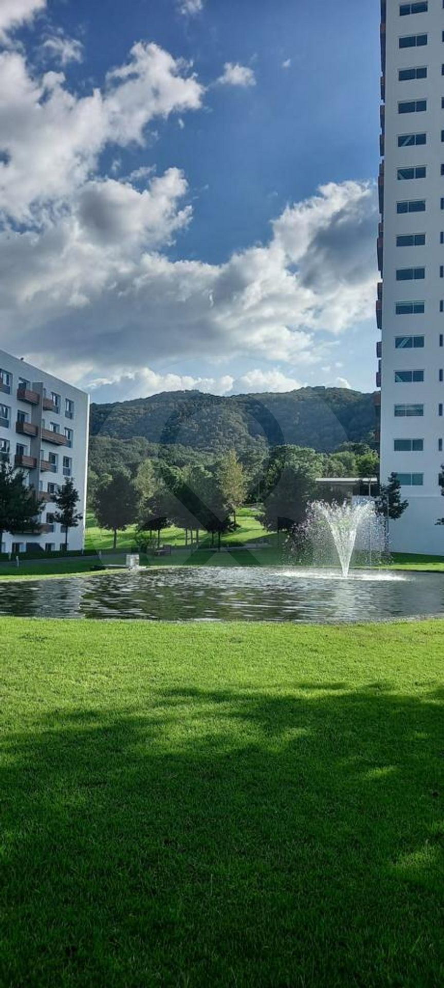 11 de 15