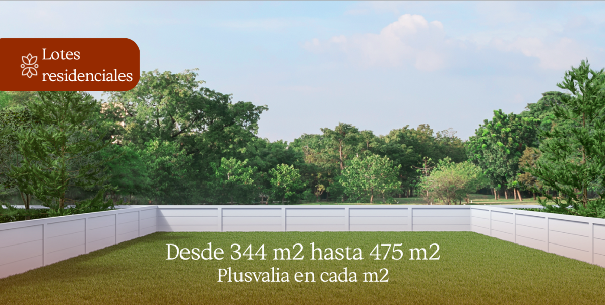 9 de 9