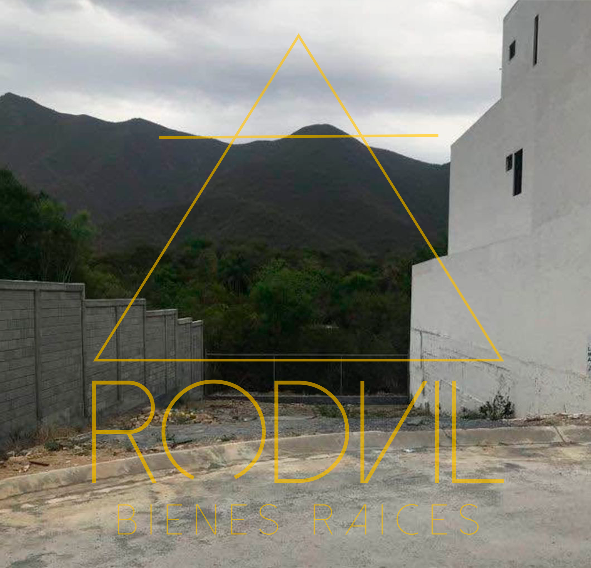 1 de 3