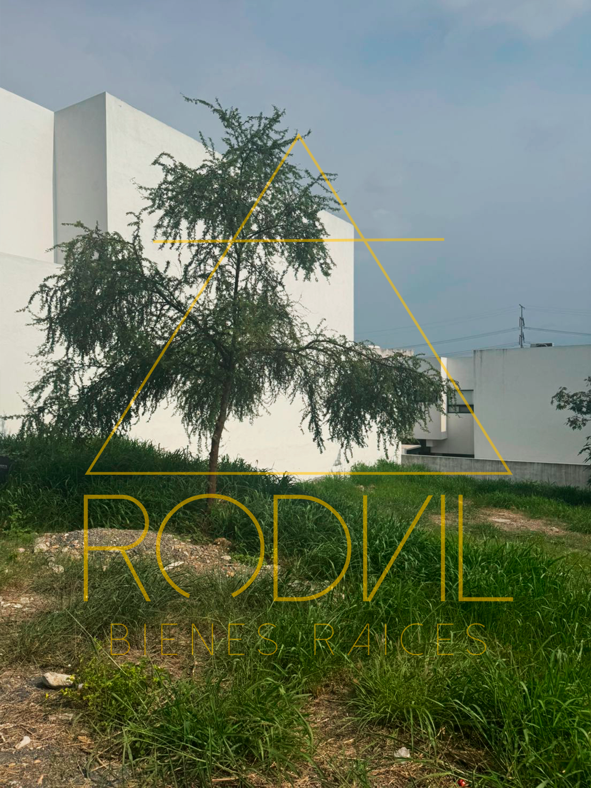 4 de 4