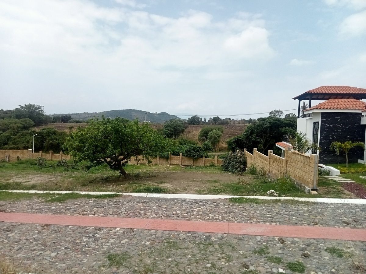 4 de 18