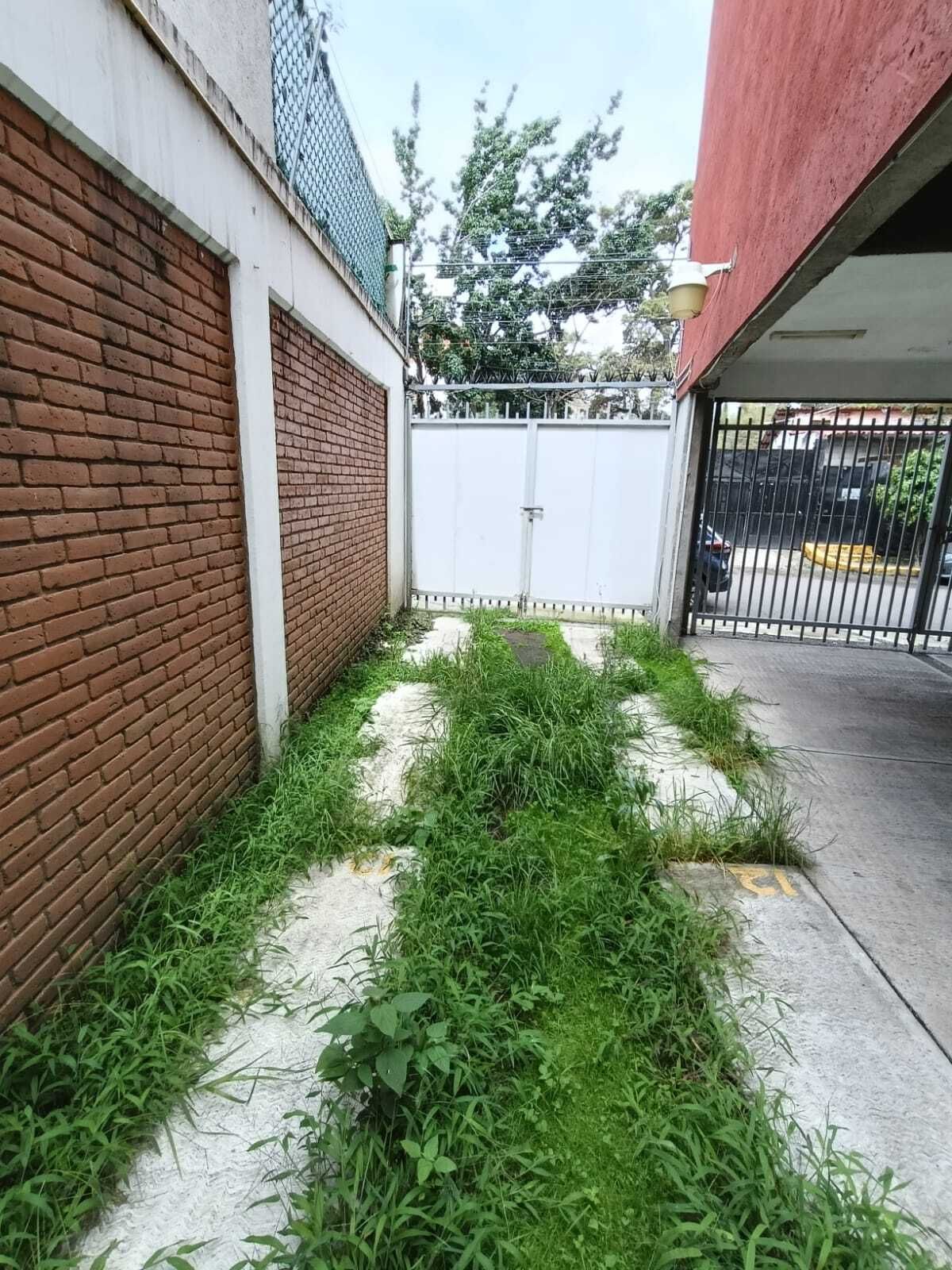 3 de 24