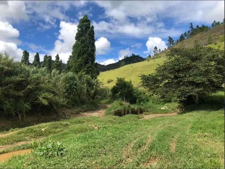 2 de 6