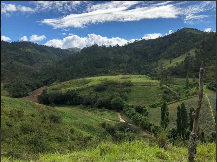 3 de 6