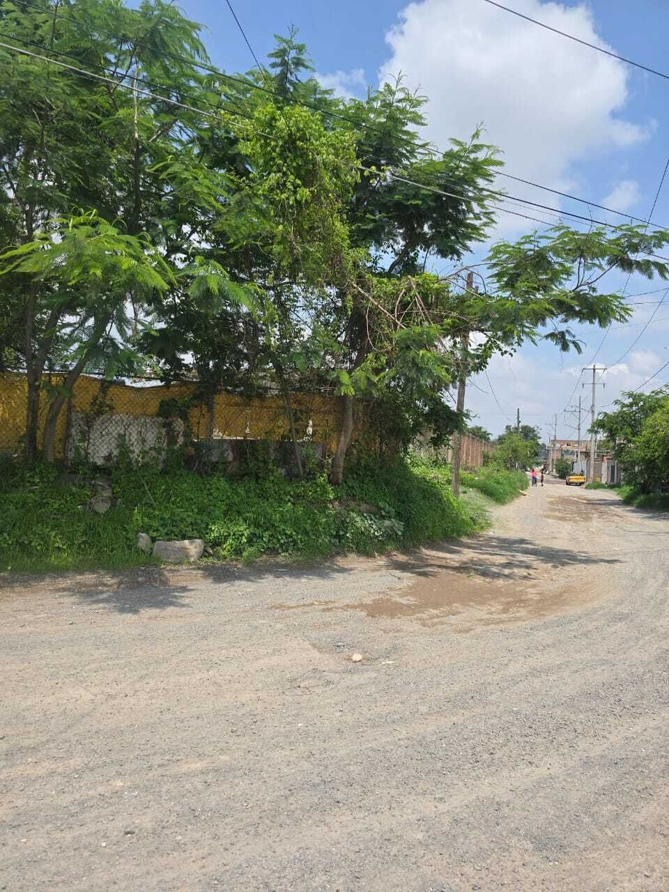 8 de 11