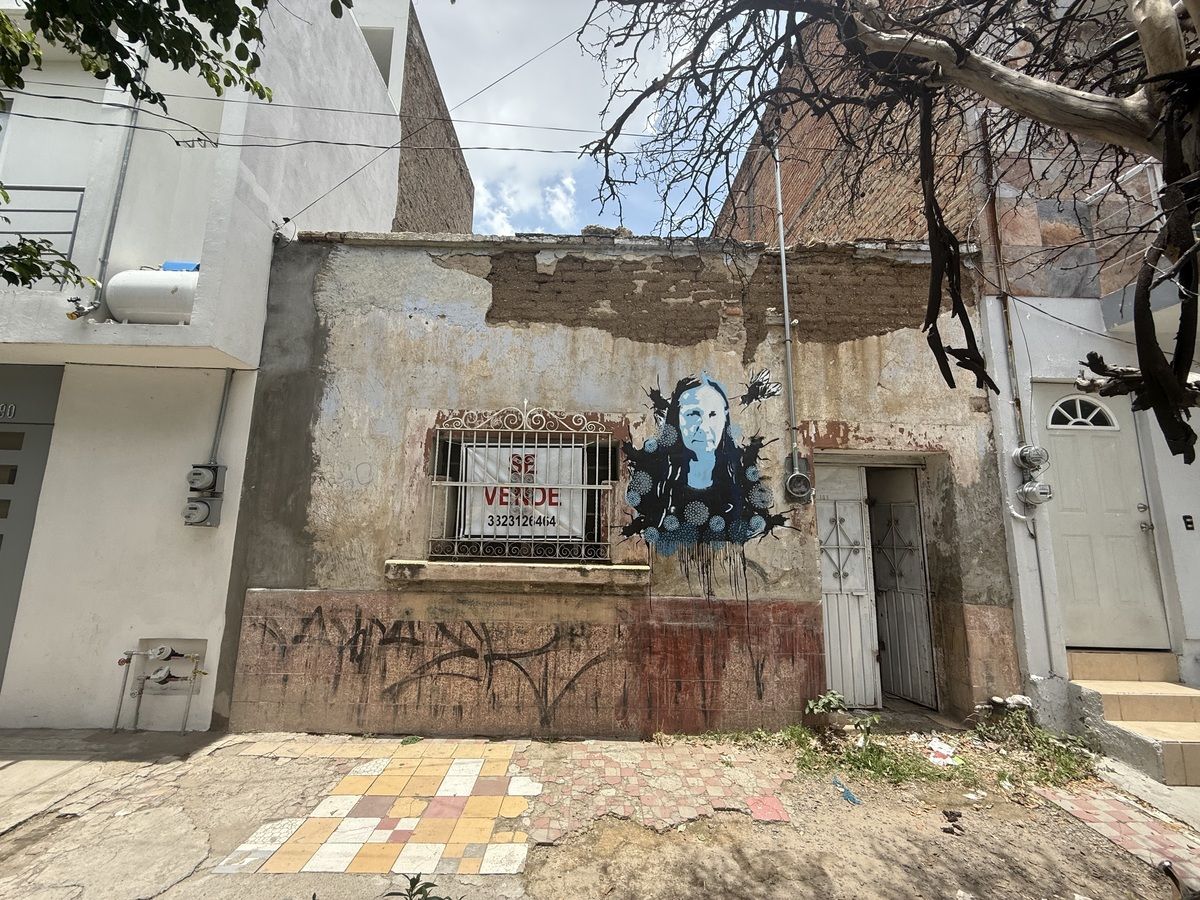 4 de 16