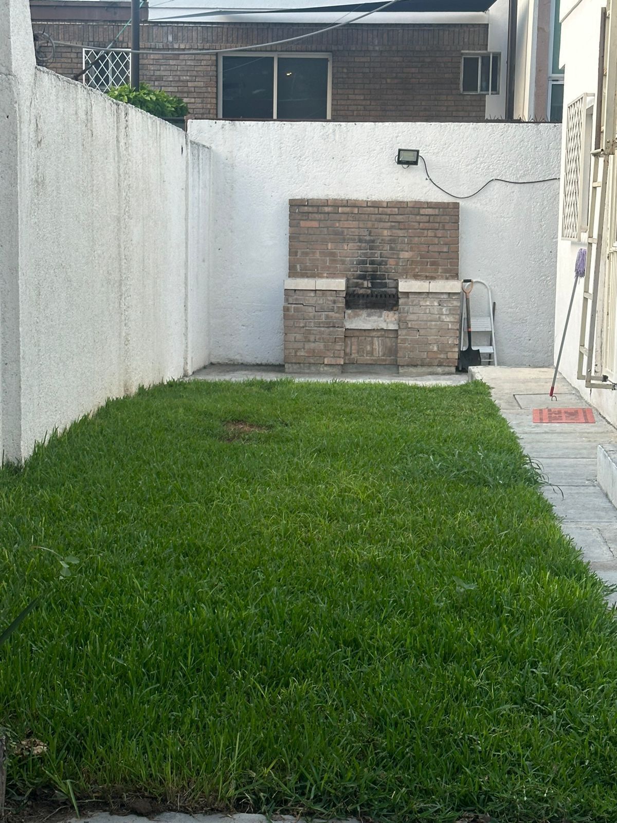 7 de 12